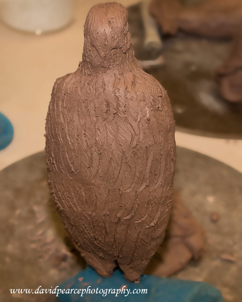 Clay Eagle Rear